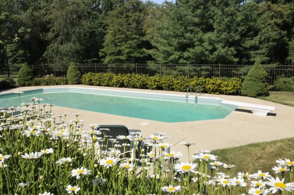 Pool Deck Leveling in Powell