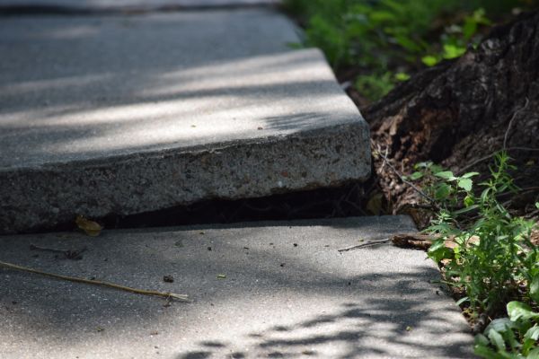Sidewalk Leveling in Powell